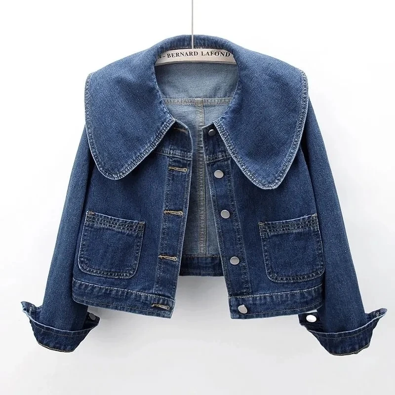 2024 neue Herbst Frauen Denim  – Down Jacket Packable Bewertung und Preis